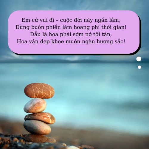 stt cuộc sống an nhiên